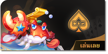 candy888